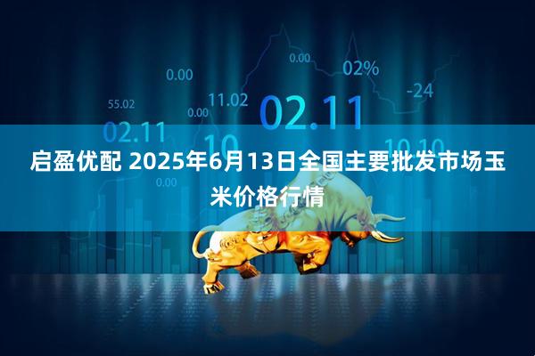 启盈优配 2025年6月13日全国主要批发市场玉米价格行情