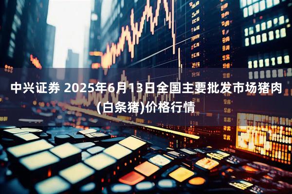 中兴证券 2025年6月13日全国主要批发市场猪肉(白条猪)价格行情