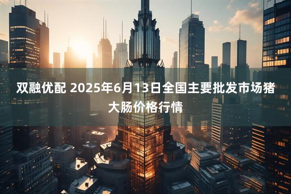 双融优配 2025年6月13日全国主要批发市场猪大肠价格行情