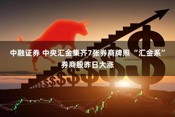 中融证券 中央汇金集齐7张券商牌照 “汇金系”券商股昨日大涨