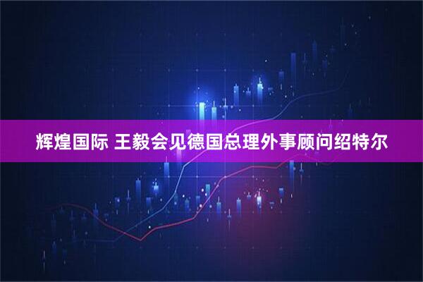 辉煌国际 王毅会见德国总理外事顾问绍特尔