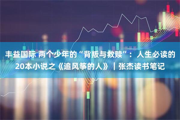 丰益国际 两个少年的“背叛与救赎”：人生必读的20本小说之《追风筝的人》｜张杰读书笔记